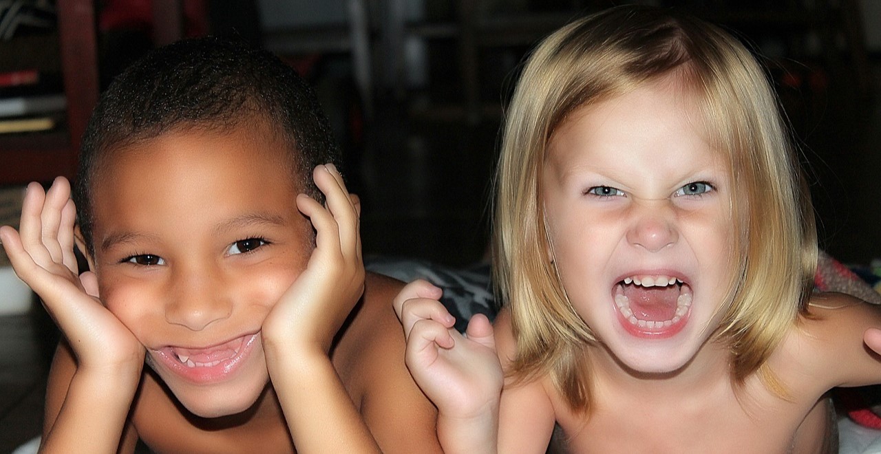 Descripción de la imagen